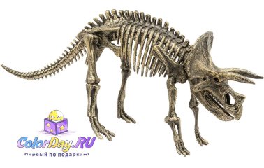 статуэтка "Скелет Динозавра - Трицератопс"