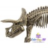 статуэтка "Скелет Динозавра - Трицератопс"