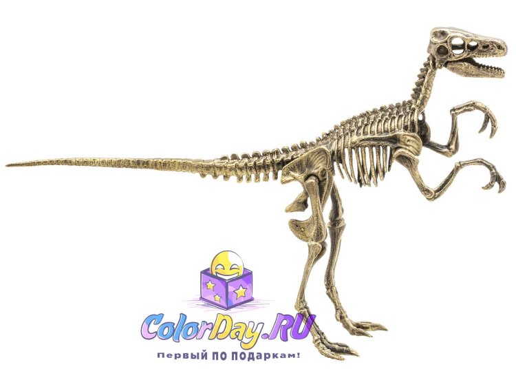 статуэтка "Скелет Динозавра - Велоцираптор"