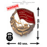 значок "Бойцу Красной Гвардии и Красному Партизану РСФСР" (эмали, закрутка)
