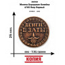 жетон "Монета - Бородовая Копейка 1705 Петр Первый" (металл, штамп, копия)